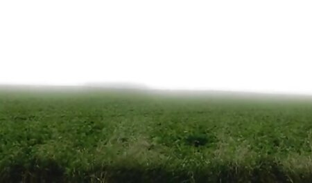 ماساژ سکس و ماساژ دادن زیبایی بالغ خروس چربی را مهار می کند